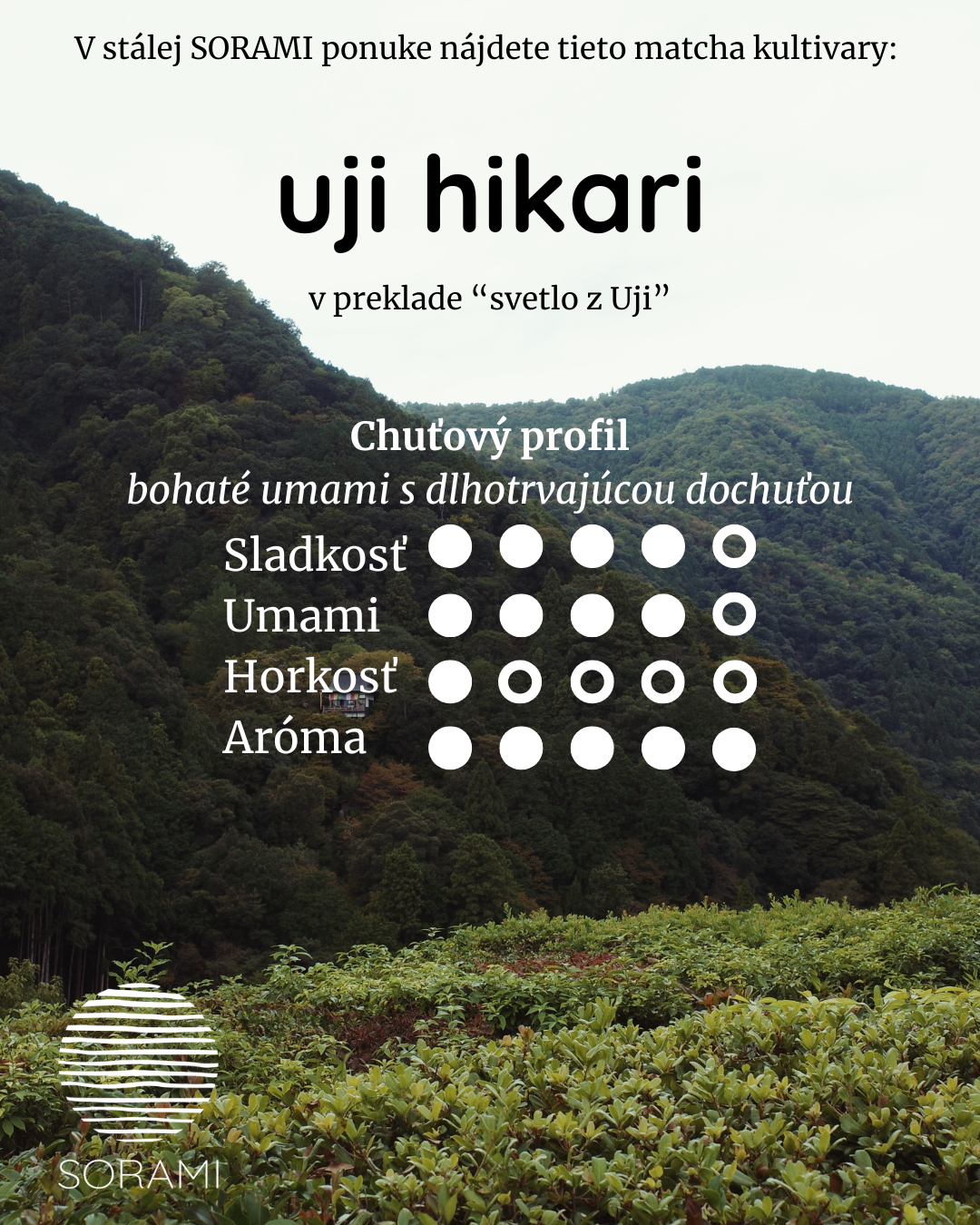 Uji Hikari matcha kultivar - bohaté umami